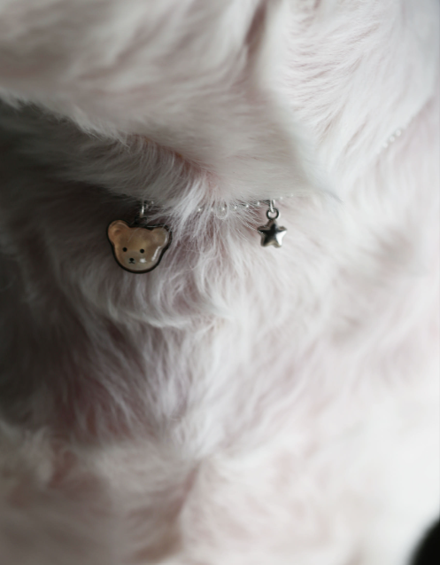 Dog and Cat Necklace Identification Tag Surgical Engraving Name Tag Bearstar Ball Chain Bear