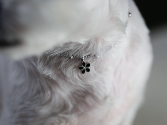 Dog and Cat Necklace Identification Tag Surgical Engraving Name Tag Flower Double Black Flower