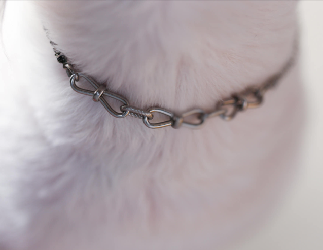 Puppy and Cat Necklace Surgical Steel Chain 8-Square Cubic