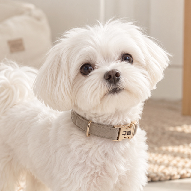 Dog Suede Soft Engraved Leash Identification Tag Custom Sturdy Walking Leash XS-L