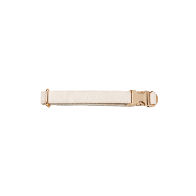 Dog Suede Soft Engraved Leash Identification Tag Custom Sturdy Walking Leash XS-L