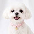 Knitted Identification Tag Collar Engraved Necklace Snow Pink M